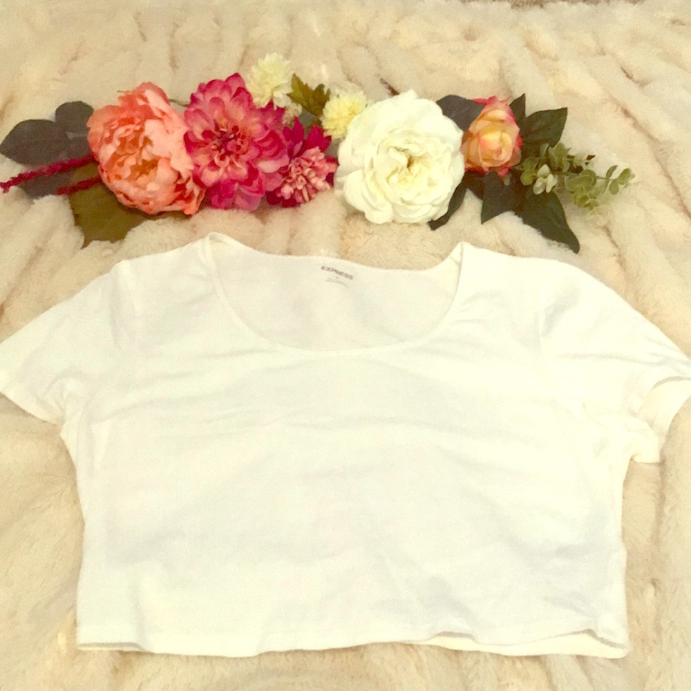White crop top t-shirt